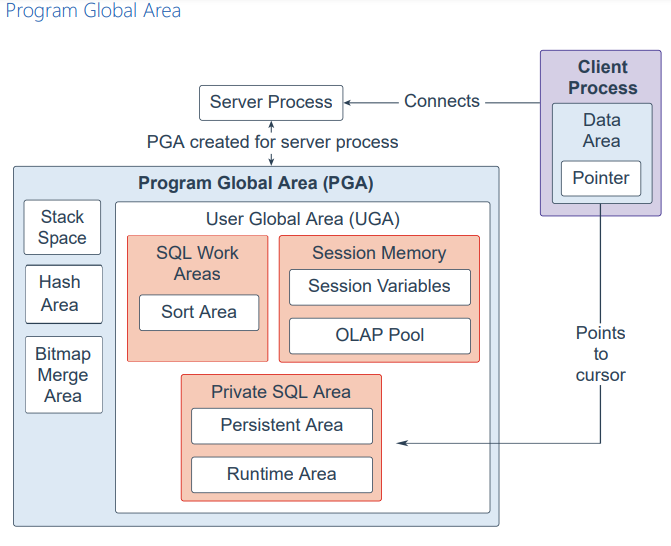 PGA 20c